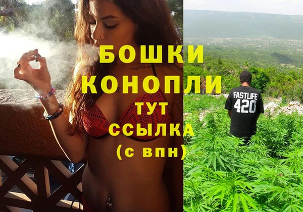 дурь Магас