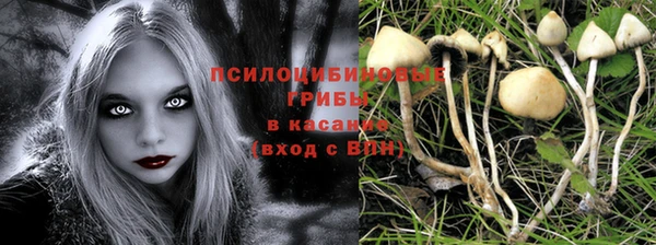 дурь Магас