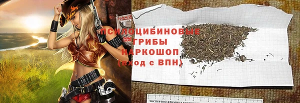 дурь Магас